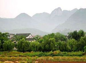 何雲村