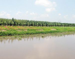 平羅街道陸家村