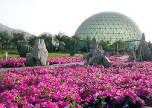 石嘴山森林公園風景（一）