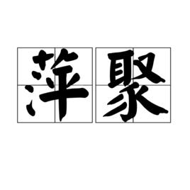 萍聚[漢語辭彙]