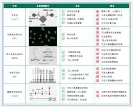 抗DNA抗體