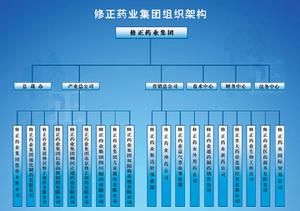 修正藥業組織結構圖