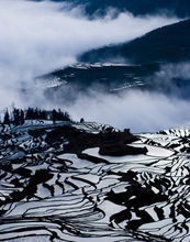 箐口梯田景區