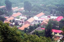 大龍門村[山東省萊蕪市鋼城區艾山街道大龍門村]