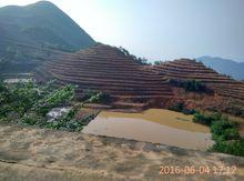 雨山村[湖北省鹹寧市崇陽縣雨山村]