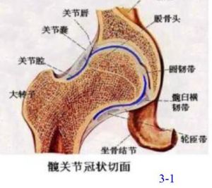 動脈