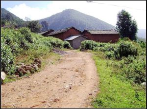 進村道路