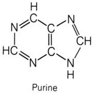 嘌呤