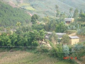 永進村[雲南省巍山彝族回族自治縣大倉鎮永進村]