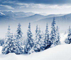 雪景