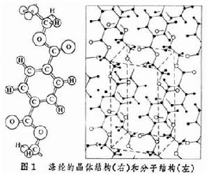 纖維結構