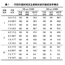 不同扦插時間及生根粉濃度扦插成活率情況