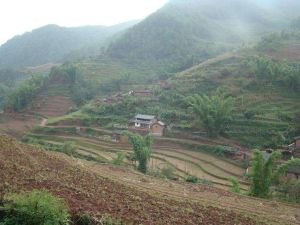 田壩鄉岔河村