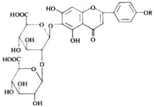 刺槐素