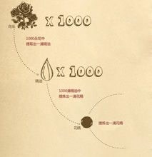 花精提煉過程