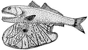巨喉魚