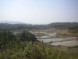 安豐生態甲魚 養殖基地