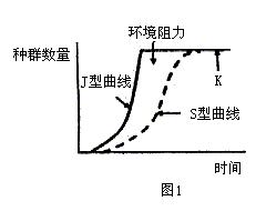 增長曲線