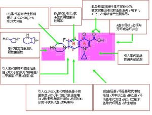 構效關係