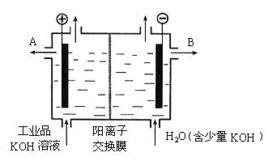 陽極反應