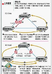 多生成樹協定