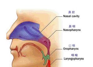 鼻窒病