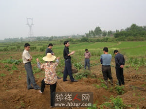 農村民間糾紛