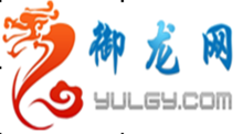 御龍網路logo