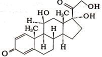 氫化潑尼松注射液