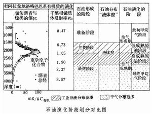 石油地球化學