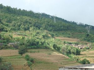 對面山村