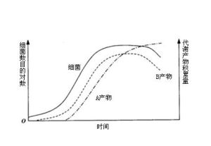 微生物生長速率