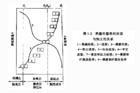 高彈態