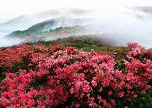 江西聖井山風景區