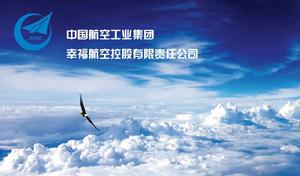 幸福航空控股有限公司