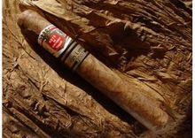 hoyo de monterrey double corona雪茄圖片