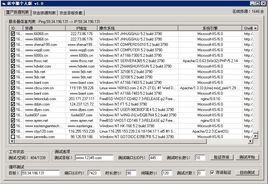 林中狼DDOS