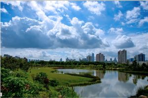 深圳蓮花山公園