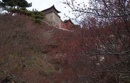 深山藏古寺