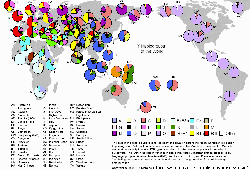 1500年世界人群分布的Y染色體單倍型類群圖