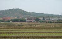 豐溪村[福建南安市梅山鎮下轄村]