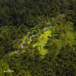 三嶺山國家森林公園