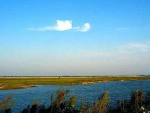 鄱陽湖國家濕地公園