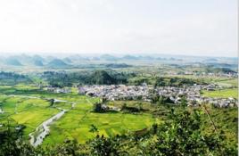 鮑家屯村[貴州省安順市西秀區大西橋鎮鮑家屯村]