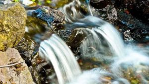 llanllyr SOURCE朗銳水源地實景圖