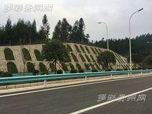 盤興高速公路