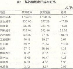 差額預算管理