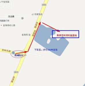 公交路線圖