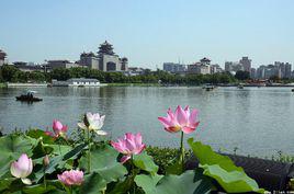 蓮花池公園[昆明蓮花池公園]