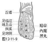 足臨泣